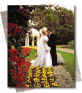 boston wedding limousine
